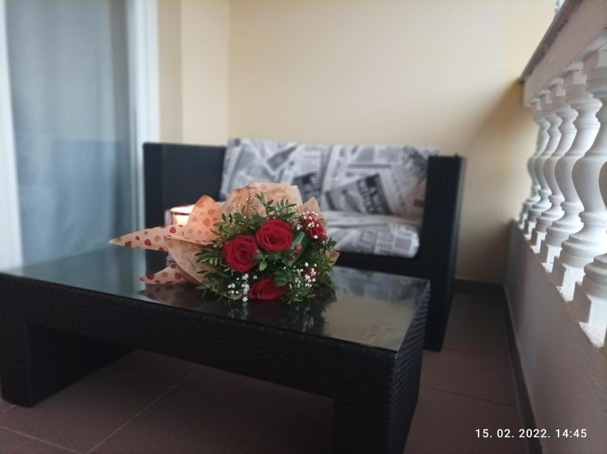 Palma Guesthouse Palit Bagian luar foto