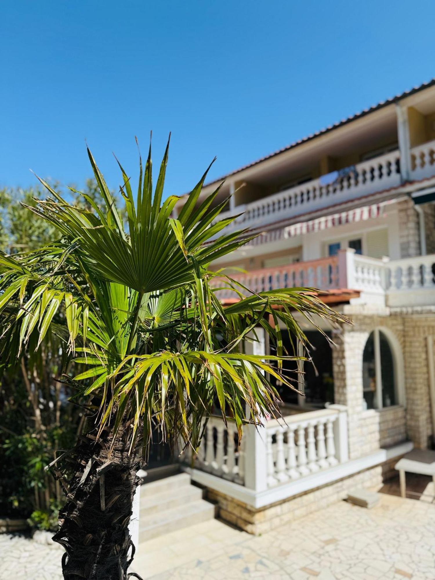 Palma Guesthouse Palit Bagian luar foto