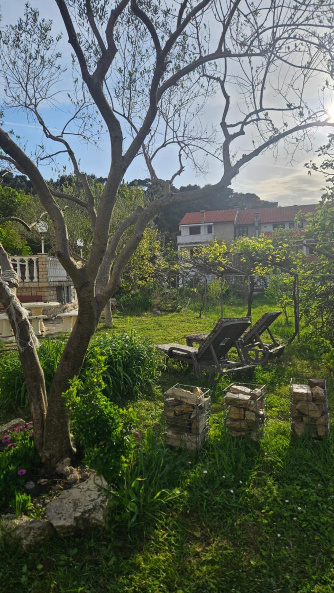 Palma Guesthouse Palit Bagian luar foto
