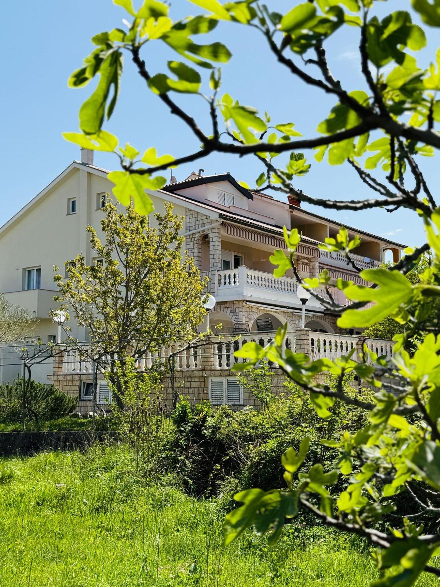 Palma Guesthouse Palit Bagian luar foto
